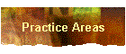 Practice Areas