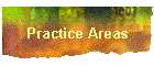 Practice Areas